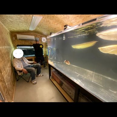 三重でお庭に水族館！？どデカい水槽に囲まれた至福の空間、それでも家族は喜んでいる？