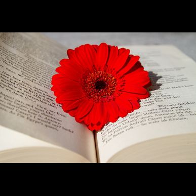 ついに始動！三重県四日市市の商店街でクロスポオープン